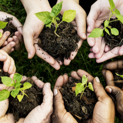 Nonprofit Insurance Massachusetts